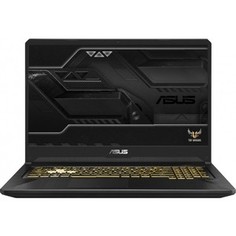 Ноутбук Asus FX705GM-EW163T