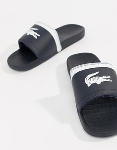 Темно-синие шлепанцы с логотипом Lacoste Fraisier - Темно-синий
