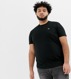 Черная футболка с большим логотипом-крокодилом Lacoste - Черный