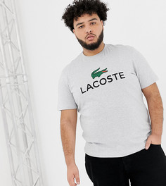 Серая футболка с большим логотипом-крокодилом Lacoste - Серый