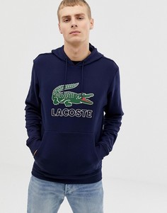 Темно-синий свитшот без застежки с капюшоном Lacoste - Черный