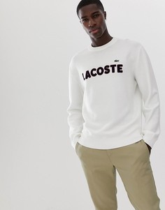Белый трикотажный джемпер с большим логотипом Lacoste - Белый