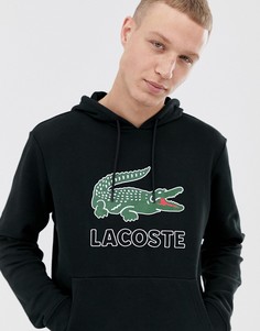 Черный свитшот с капюшоном и большим логотипом Lacoste - Черный