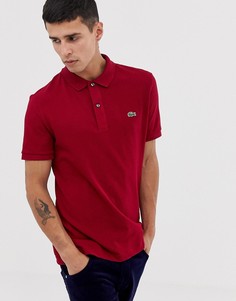 Бордовое приталенное поло с логотипом Lacoste - Красный