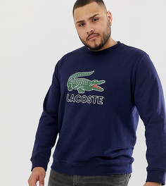 Темно-синий свитшот с круглым вырезом и логотипом Lacoste - Темно-синий