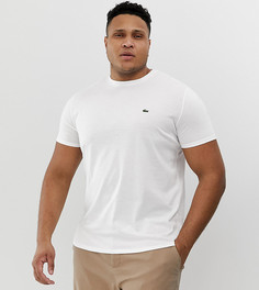Белая футболка с круглым вырезом и логотипом Lacoste - Белый