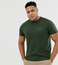 Темно-зеленая футболка с круглым вырезом и логотипом Lacoste - Зеленый