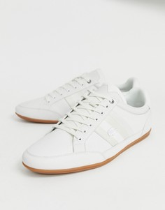 Белые кожаные кроссовки Lacoste Chaymon - Белый