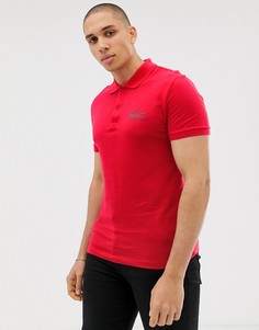 Футболка-поло с логотипом Lacoste - Красный