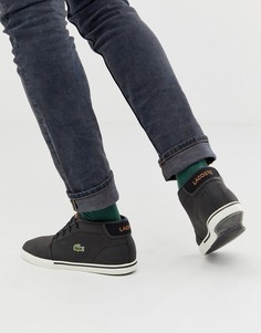 Черные кожаные кроссовки Lacoste Ampthill - Черный