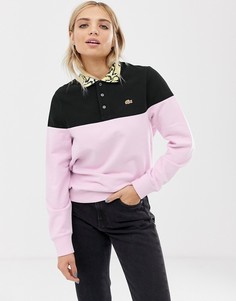 Свитшот колор блок с крокодиловым принтом на воротнике Lacoste x Opening Ceremony - Розовый