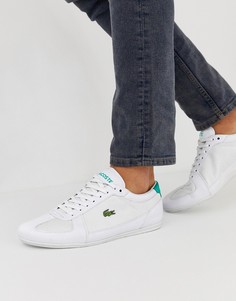 Белые кроссовки Lacoste Evara Sport - Белый