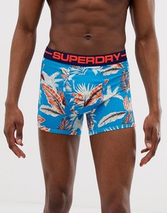 Боксеры с гавайским принтом Superdry - 1 шт. - Мульти