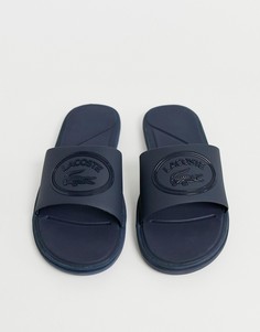 Темно-синие шлепанцы в полоску Lacoste L.30 - Темно-синий