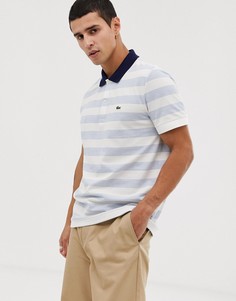 Синее поло в полоску Lacoste - Синий