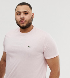 Темно-розовая футболка с логотипом и круглым вырезом Lacoste - Розовый