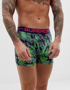 Зеленые боксеры-брифы с графическим тропическим принтом Superdry Sport - Зеленый