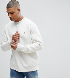 Бежевый меланжевый свитшот с круглым вырезом и логотипом Polo Ralph Lauren Big & Tall - Бежевый