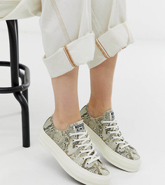 Кроссовки со змеиным принтом Converse Chuck Taylor Ox - Серый