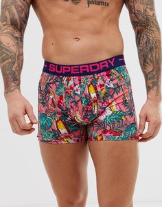 Розовые боксеры-брифы с графическим тропическим принтом Superdry Sport - Розовый