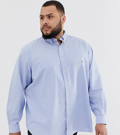 Голубая оксфордская рубашка на пуговицах с логотипом Polo Ralph Lauren Big & Tall - Синий