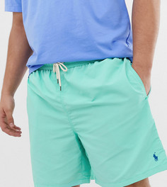Зеленые шорты для плавания с логотипом Polo Ralph Lauren Big & Tall - Traveler - Зеленый