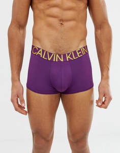 Фиолетовые боксеры-брифы из микрофибры с логотипом Calvin Klein Statement 1981 - Фиолетовый
