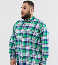 Зеленая оксфордская рубашка в клетку на пуговицах с логотипом Polo Ralph Lauren Big & Tall - Зеленый
