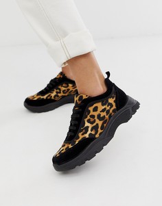 Черные кроссовки с леопардовым принтом ASOS DESIGN - Мульти