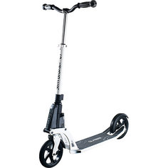 Двухколесный самокат Globber One K Active, белый