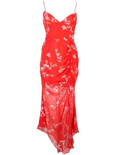 Одежда Nicholas