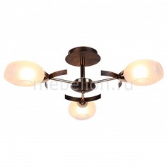 Люстра на штанге Camilla A6094PL-3BA Arte Lamp