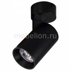 Спот Тубус CL01B071 Citilux