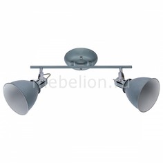 Спот Jonas 54646-2 Globo