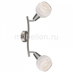 Спот Elliott 54341-2O Globo