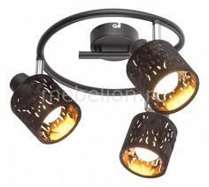 Спот Troy 54121-3 Globo