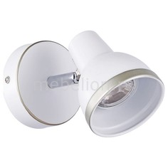 Спот Allegra 2391-1W F Promo