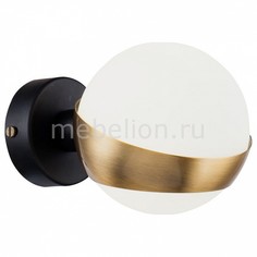 Бра Silvia FR5009WL-01B Freya