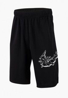 Шорты спортивные Nike