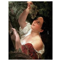 Molly Картина по номерам