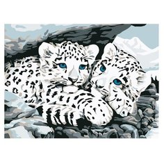 Molly Картина по номерам