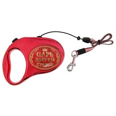 Поводок-рулетка для собак Пижон