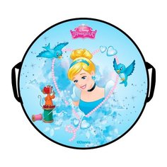 Ледянка 1 TOY Принцессы Т11007