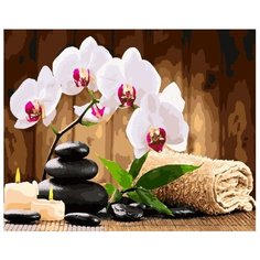 Paintboy Картина по номерам В