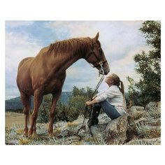 Paintboy Картина по номерам