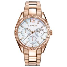 Наручные часы ESPRIT ES108932003