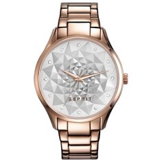 Наручные часы ESPRIT ES109022003