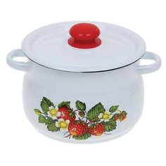 Кастрюля СтальЭмаль С2520.3 8 л