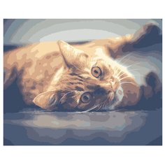 ФРЕЯ Картина по номерам Рыжий