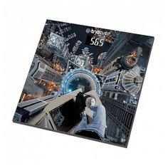 Весы ENDEVER Aurora-561
